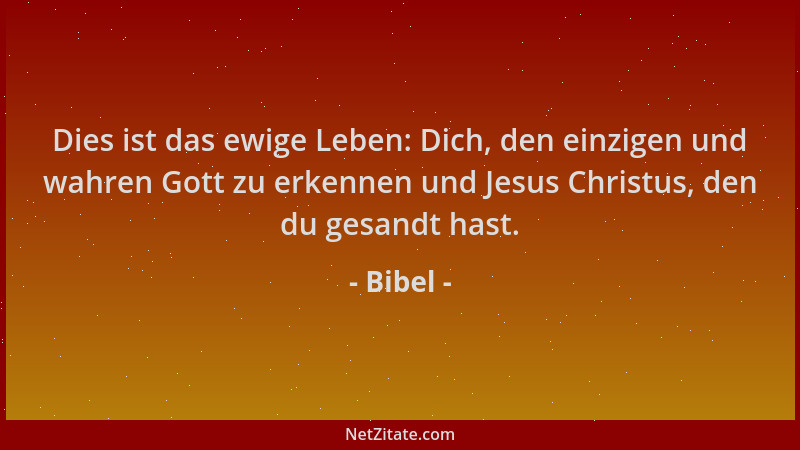 Bibel - Dies ist das ewige Leben: Dich, den einzigen und wahren Gott zu erkennen und Jesus Christus, den du gesandt hast....