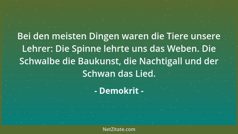 Demokrit - Bei den meisten Dingen waren die Tiere unsere Lehrer: Die Spinne lehrte uns das Weben. Die Schwalbe die Baukunst...