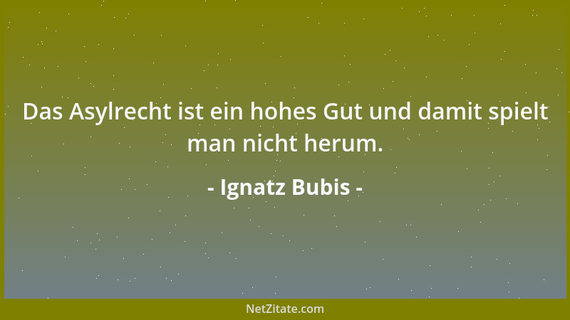 Ignatz Bubis - Das Asylrecht ist ein hohes Gut und damit spielt man nicht herum....