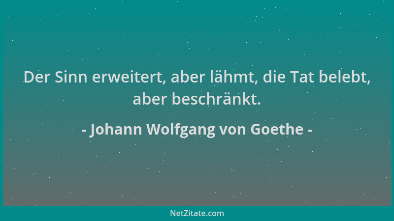 Johann Wolfgang von Goethe - Der Sinn erweitert, aber lähmt, die Tat belebt, aber beschränkt....