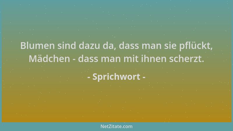 Sprichwort - Blumen sind dazu da, dass man sie pflückt, Mädchen - dass man mit ihnen scherzt....