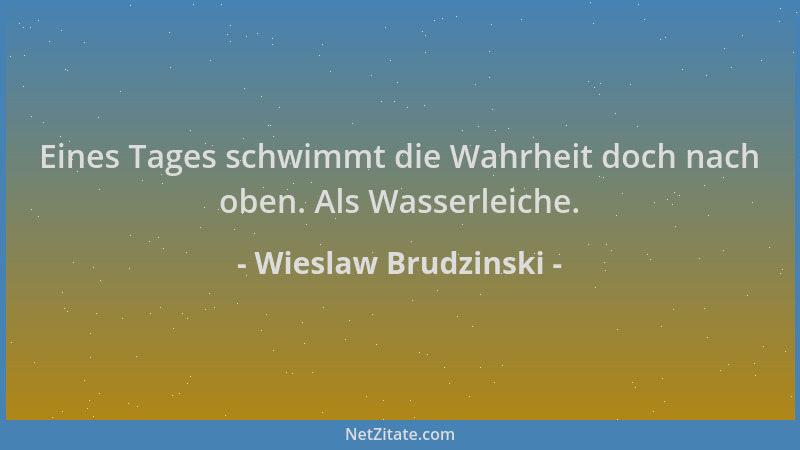 Wieslaw Brudzinski - Eines Tages schwimmt die Wahrheit doch nach oben. Als Wasserleiche....