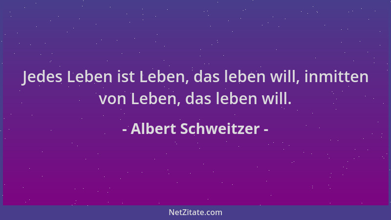 Albert Schweitzer - Jedes Leben ist Leben, das leben will, inmitten von Leben, das leben will....