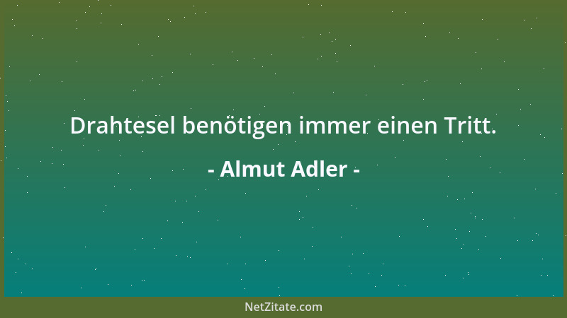 Almut Adler - Drahtesel benötigen immer einen Tritt....