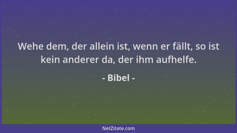 Bibel - Wehe dem, der allein ist, wenn er fällt, so ist kein anderer da, der ihm aufhelfe....