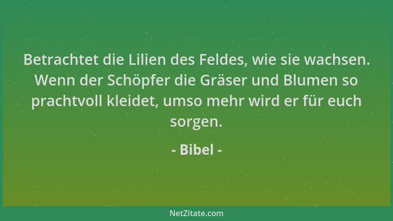 Bibel - Betrachtet die Lilien des Feldes, wie sie wachsen. Wenn der Schöpfer die Gräser und Blumen so prachtvoll kleidet, u...