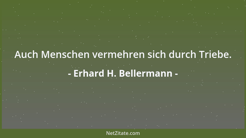 Erhard H. Bellermann - Was keiner will, wollen alle....