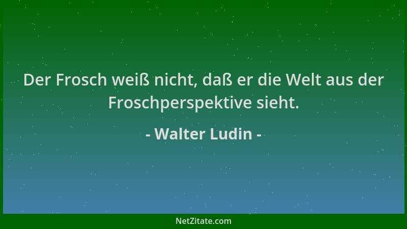 Walter Ludin - Der Frosch weiß nicht, daß er die Welt aus der Froschperspektive sieht....