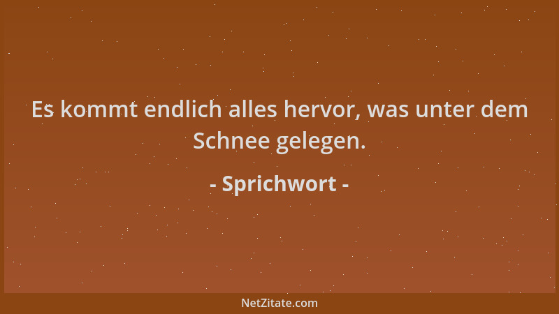 Sprichwort - Es kommt endlich alles hervor, was unter dem Schnee gelegen....