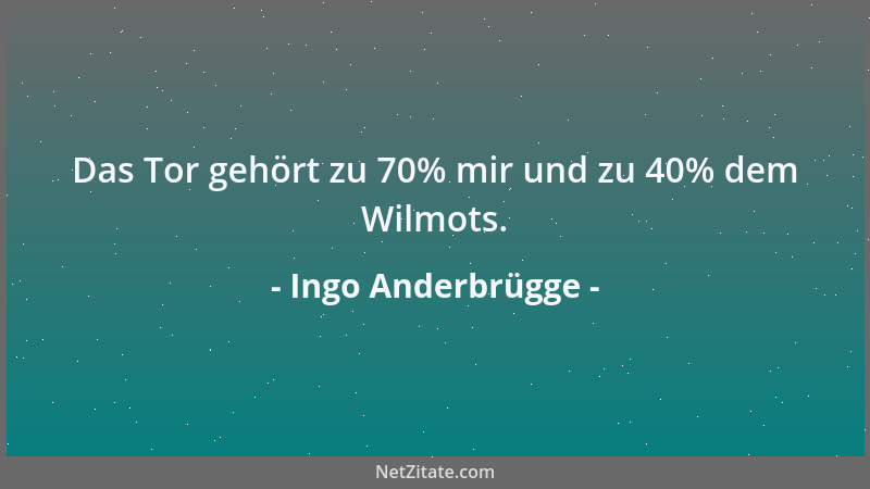 Ingo Anderbrügge - Das Tor gehört zu 70% mir und zu 40% dem Wilmots....