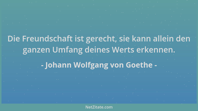 Johann Wolfgang von Goethe - Die Freundschaft ist gerecht, sie kann allein den ganzen Umfang deines Werts erkennen....
