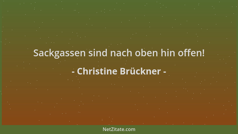 Christine Brückner - Sackgassen sind nach oben hin offen!...