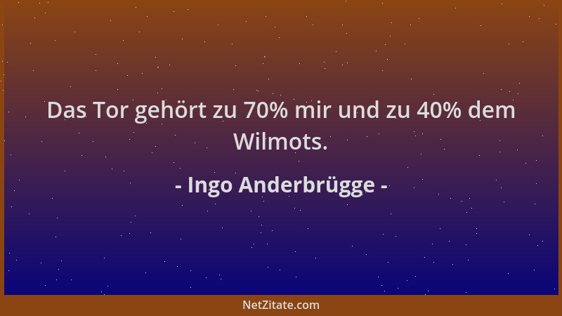 Ingo Anderbrügge - Das Tor gehört zu 70% mir und zu 40% dem Wilmots....