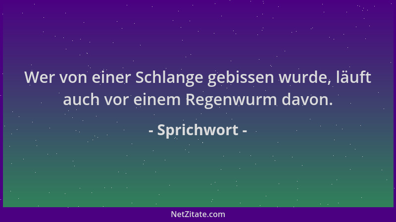 Sprichwort - Wer von einer Schlange gebissen wurde, läuft auch vor einem Regenwurm davon....
