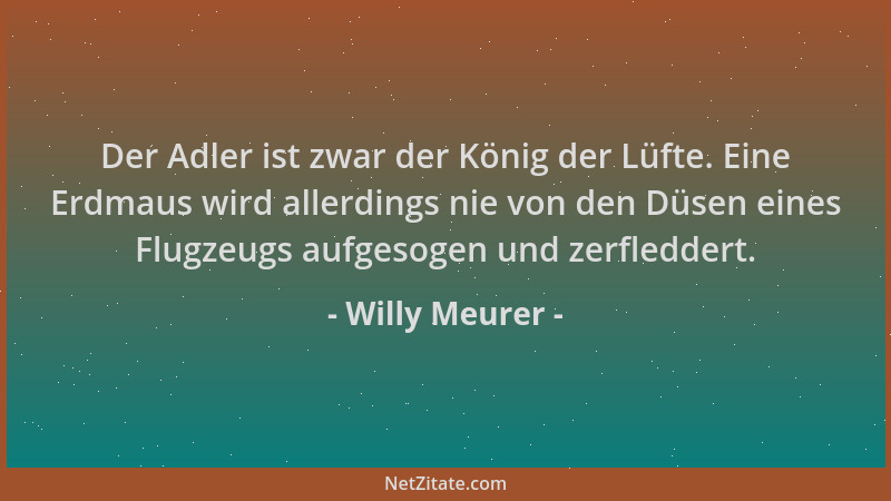 Willy Meurer - Der Adler ist zwar der König der Lüfte. Eine Erdmaus wird allerdings nie von den Düsen eines Flugzeugs aufge...