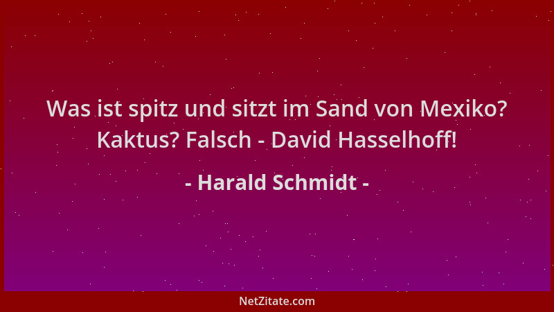 Harald Schmidt - Was ist spitz und sitzt im Sand von Mexiko? Kaktus? Falsch - David Hasselhoff!...