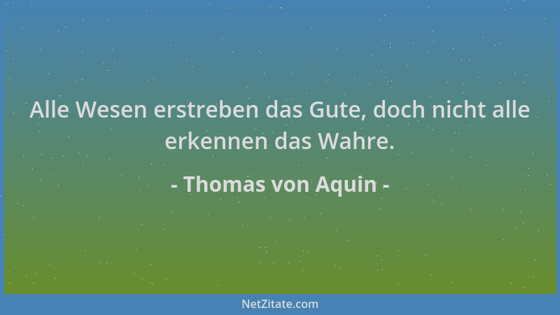 Thomas von Aquin - Alle Wesen erstreben das Gute, doch nicht alle erkennen das Wahre....