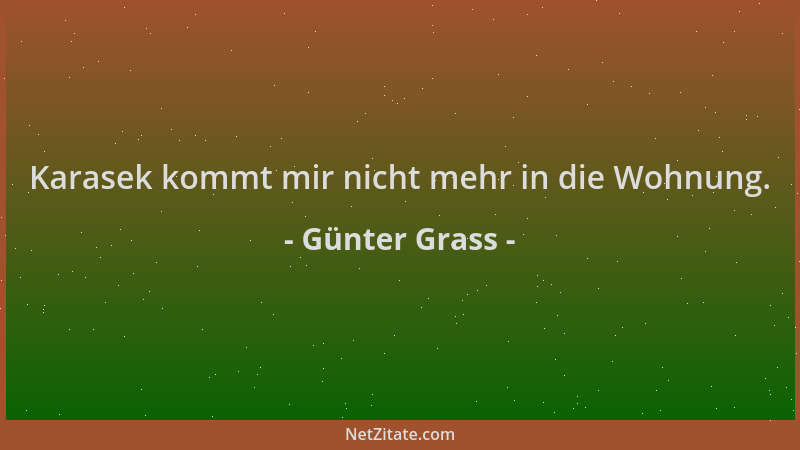 Günter Grass - Karasek kommt mir nicht mehr in die Wohnung....