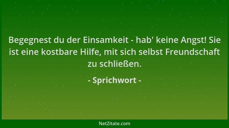 Sprichwort - Begegnest du der Einsamkeit - hab ' keine Angst! Sie ist eine kostbare Hilfe, mit sich selbst Freundschaft zu s...