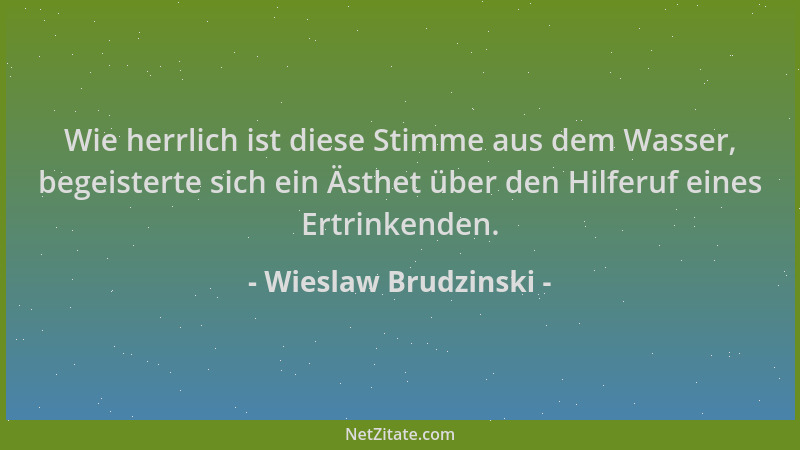 Wieslaw Brudzinski - Wie herrlich ist diese Stimme aus dem Wasser, begeisterte sich ein Ästhet über den Hilferuf eines Ertr...