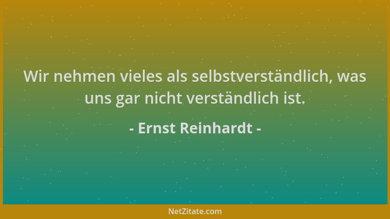 Ernst Reinhardt - Wir nehmen vieles als selbstverständlich, was uns gar nicht verständlich ist....