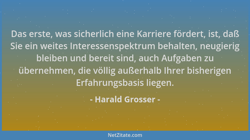 Harald Grosser - Das erste, was sicherlich eine Karriere fördert, ist, daß Sie ein weites Interessenspektrum behalten, neug...