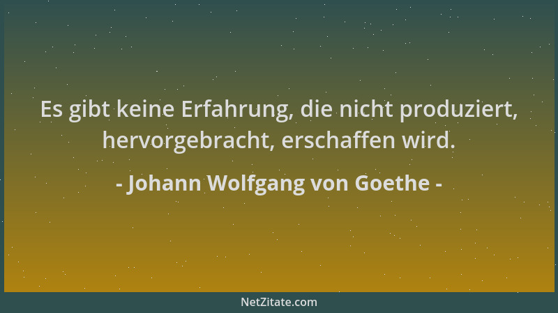 Johann Wolfgang von Goethe - Es gibt keine Erfahrung, die nicht produziert, hervorgebracht, erschaffen wird....