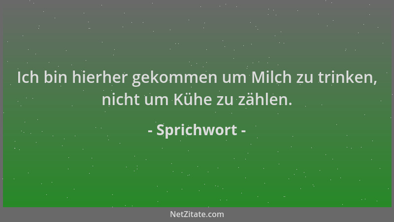 Sprichwort - Ich bin hierher gekommen um Milch zu trinken, nicht um Kühe zu zählen....