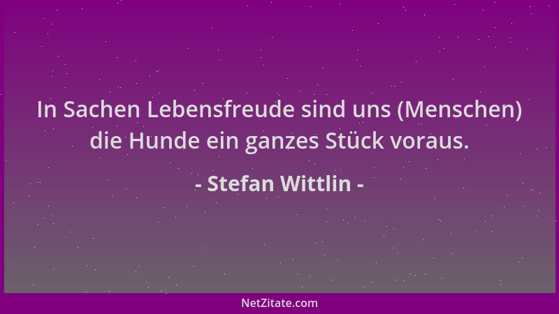 Stefan Wittlin - In Sachen Lebensfreude sind uns (Menschen) die Hunde ein ganzes Stück voraus....