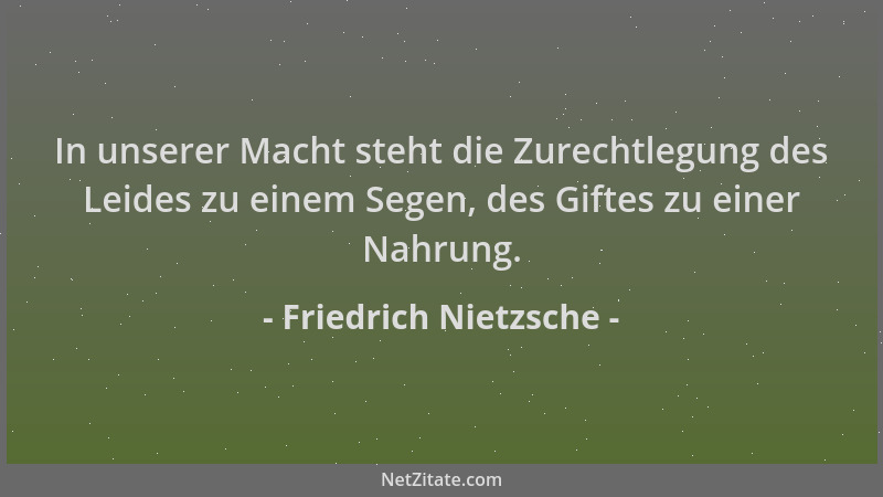 Friedrich Nietzsche - In unserer Macht steht die Zurechtlegung des Leides zu einem Segen, des Giftes zu einer Nahrung....