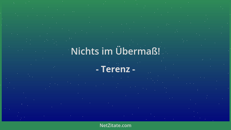 Terenz - Nichts im Übermaß!...