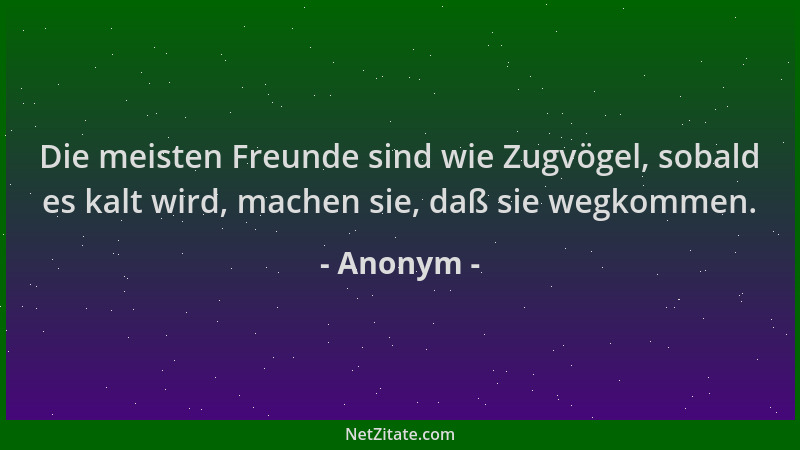 Anonym - Die meisten Freunde sind wie Zugvögel, sobald es kalt wird, machen sie, daß sie wegkommen....