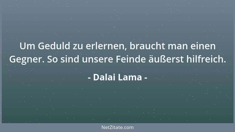 Dalai Lama - Um Geduld zu erlernen, braucht man einen Gegner. So sind unsere Feinde äußerst hilfreich....