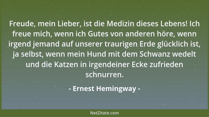 Ernest Hemingway - Freude, mein Lieber, ist die Medizin dieses Lebens! Ich freue mich, wenn ich Gutes von anderen höre, wen...