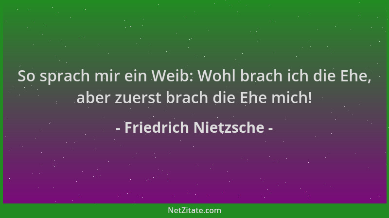 Friedrich Nietzsche - So sprach mir ein Weib: Wohl brach ich die Ehe, aber zuerst brach die Ehe mich!...
