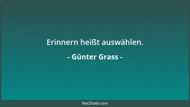 Günter Grass - Erinnern heißt auswählen....