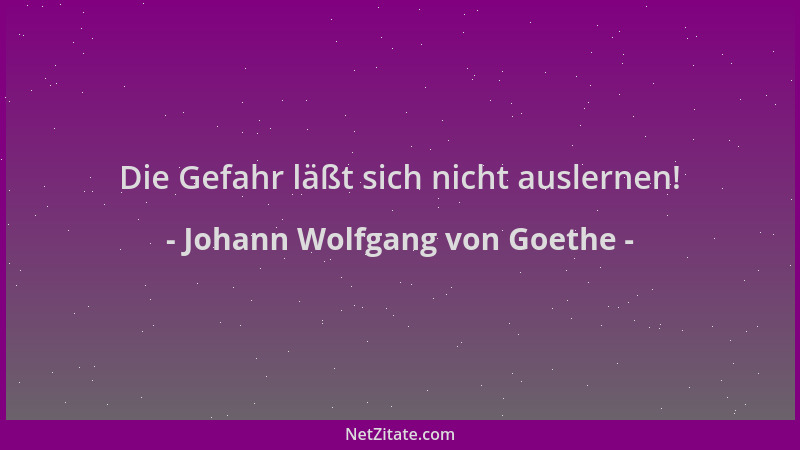 Johann Wolfgang von Goethe - Die Gefahr läßt sich nicht auslernen!...