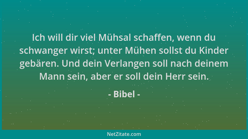 Bibel - Ich will dir viel Mühsal schaffen, wenn du schwanger wirst; unter Mühen sollst du Kinder gebären. Und dein Verlange...