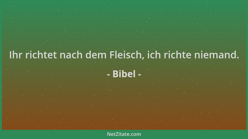 Bibel - Ihr richtet nach dem Fleisch, ich richte niemand....