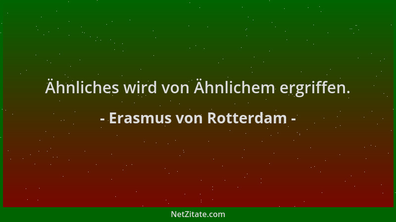 Erasmus von Rotterdam - Ähnliches wird von Ähnlichem ergriffen....