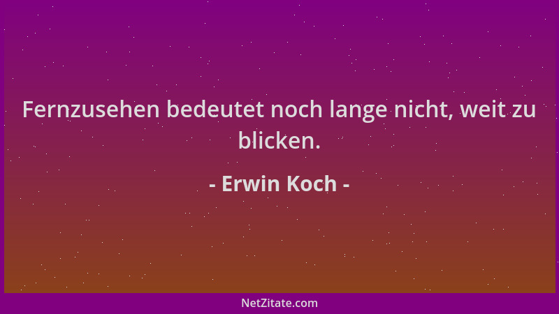 Erwin Koch - Fernzusehen bedeutet noch lange nicht, weit zu blicken....