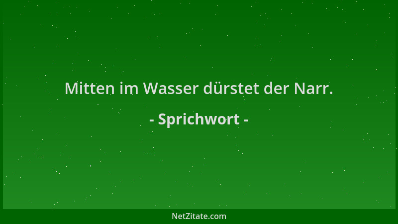 Sprichwort - Mitten im Wasser dürstet der Narr....