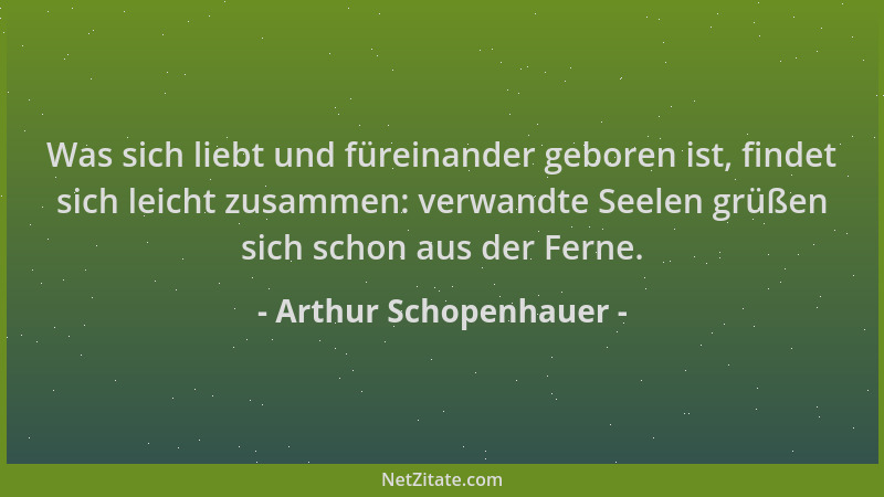 Arthur Schopenhauer - Was sich liebt und füreinander geboren ist, findet sich leicht zusammen: verwandte Seelen grüßen sich...