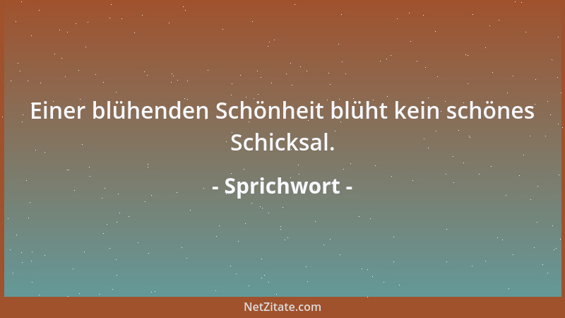 Sprichwort - Einer blühenden Schönheit blüht kein schönes Schicksal....