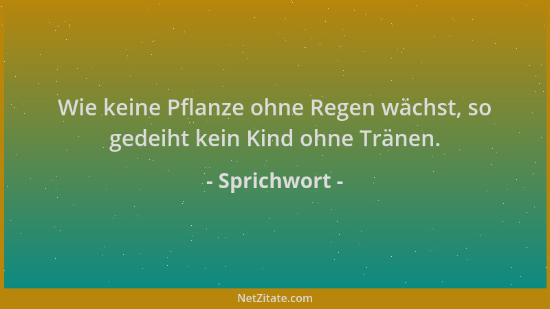 Sprichwort - Wie keine Pflanze ohne Regen wächst, so gedeiht kein Kind ohne Tränen....