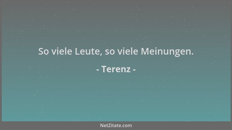 Terenz - So viele Leute, so viele Meinungen....