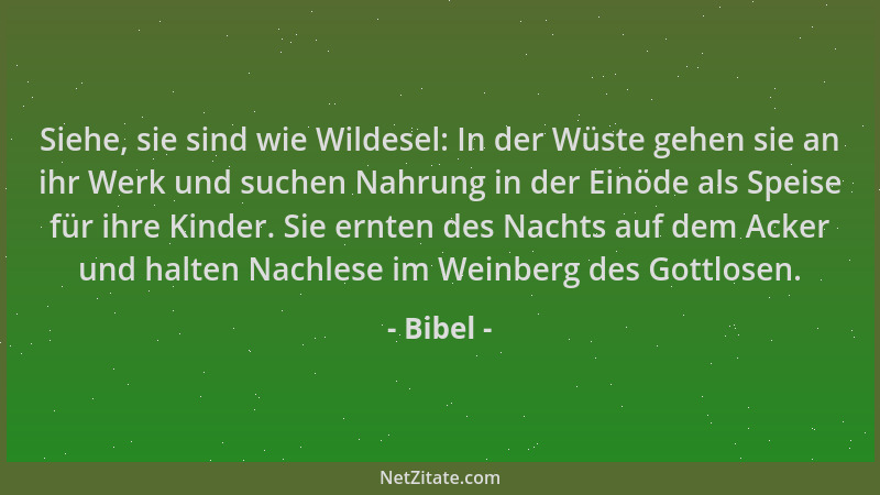 Bibel - Siehe, sie sind wie Wildesel: In der Wüste gehen sie an ihr Werk und suchen Nahrung in der Einöde als Speise für ih...