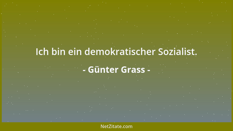 Günter Grass - Ich bin ein demokratischer Sozialist....