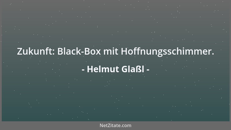 Helmut Glaßl - Zukunft: Black-Box mit Hoffnungsschimmer....