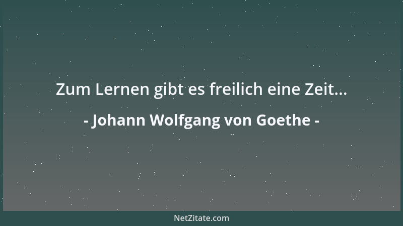 Johann Wolfgang von Goethe - Junge Gänschen sehen so altklug aus, besonders um die Augen, so viel gelebt, und werden doch m...